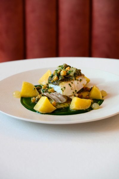 _DSC6446PAUL-STEFANAGGI