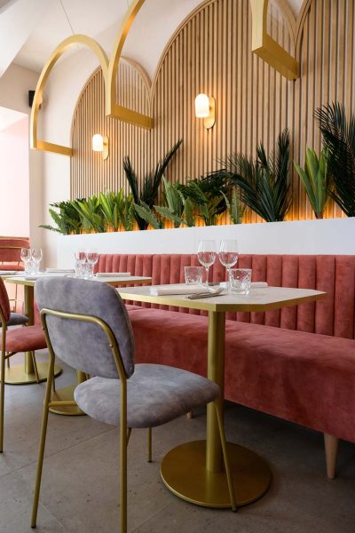 _DSC7593PAUL-STEFANAGGI