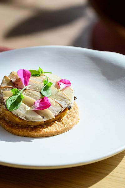 _DSC9186PAULSTEFANAGGI